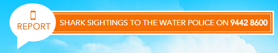 https://sharksmart.com.au/