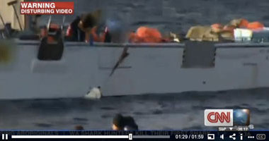 shark-kill