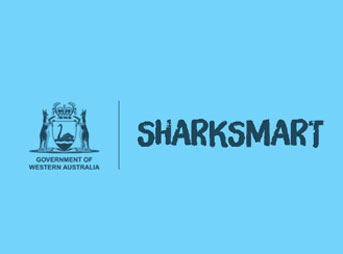 Kudos to the WA Government for their failed attempt to divert attention away from the millions of dollars worth of taxpayer's money they're spending on fisherman to murder innocent, endangered sharks off our beautiful beaches.