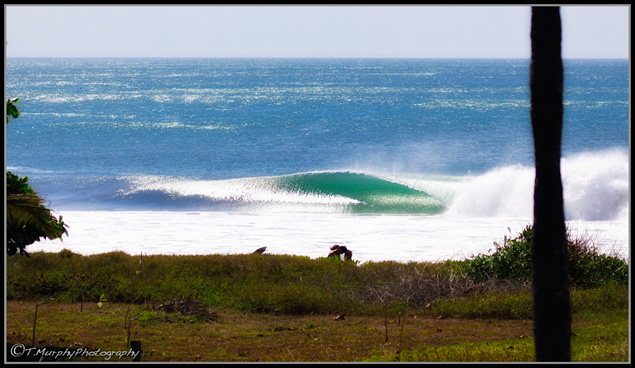 If your hostel experience is this good, you've had a successful trip. Photo: Trevor Murphy