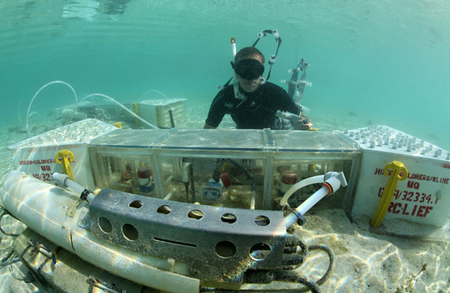 A recent report suggests that 90% of coral reefs worldwide will be threatened with extinction by the year 2030. Can you imagine a world with few living coral reefs? It will happen within your lifetime. Is this the legacy you want to give to future generations of surfers?