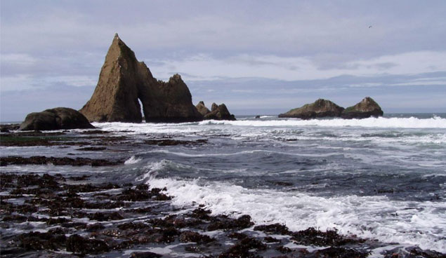 Martin’s Beach. Photo: Open Martin’s Beach.