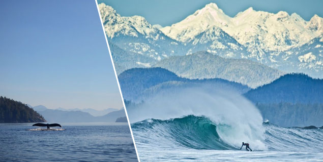 The Pacific Ocean may be cold and uninviting along the coast of British Columbia, but it provides a backdrop for some of the most beautiful and unique surfing in the world.