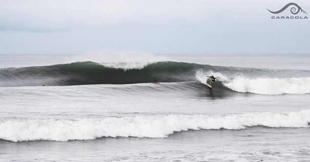 Don't steal this. Don't you dare steal this. Photo: Caracola Surf