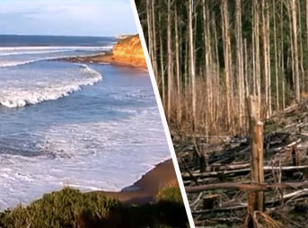 Climate change is having an impact worldwide. Bells Beach is a perfect example of how our greenhouse emissions are impacting on the coastal and marine environment at the local level.