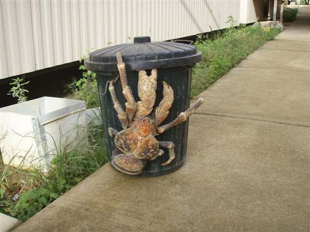 Just let it eat your garbage.