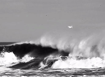 As I began to photograph, I began to film. I linked up with surfers such as Addison Miles and Shane Burn in the Carolinas.