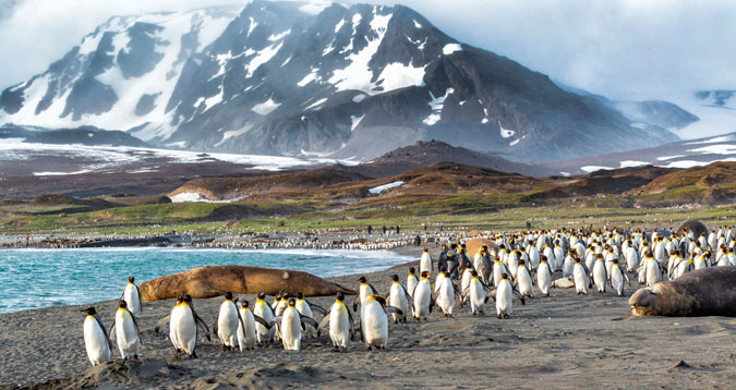 Beware of the locals. Photo:  Shutterstock