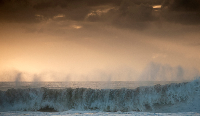 Learn to love 'em. Photo: Chris Grundy