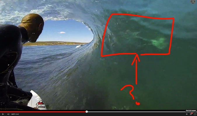 A few days ago at The Box in Western Australia, Kelly Slater got this GoPro footage of himself for the GoPro Challenge Margaret River. At around the 17-second mark, a mysterious creature shows up in the wave.