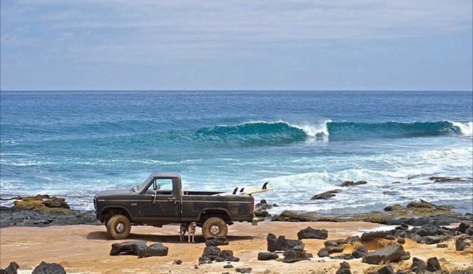 Man's best friend(s). Photo: Instagram: @aloha_bigmike