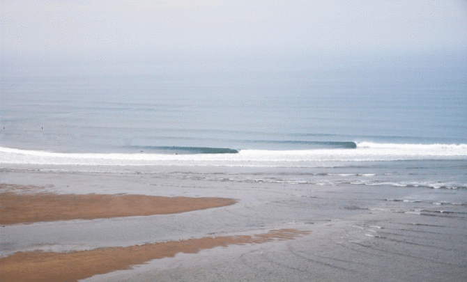 Bantham for Sale