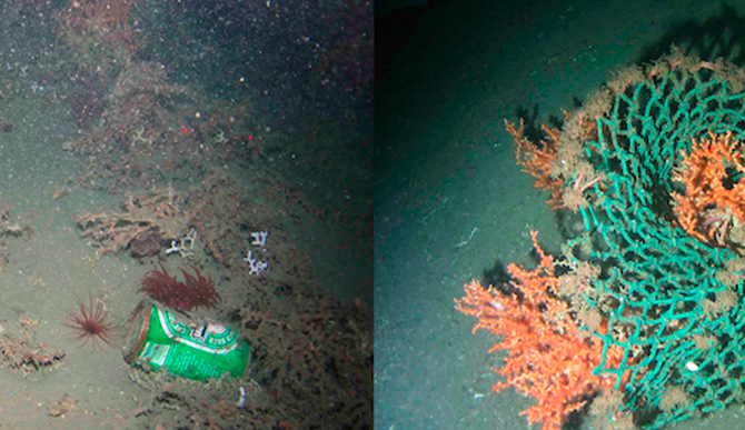 This is not your personal trash can. Photo: <a href="https://motherboard.vice.com/read/even-the-deepest-parts-of-the-ocean-are-full-of-trash">Motherboard</a>