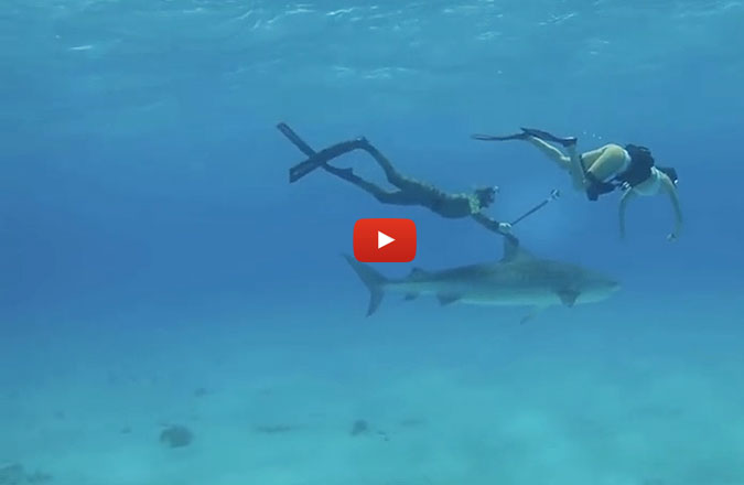 What do you give big wave hell-man Mark Healey and base jumper/ wingsuit-woman Roberta Mancino a Go-Pro and some swim fins?