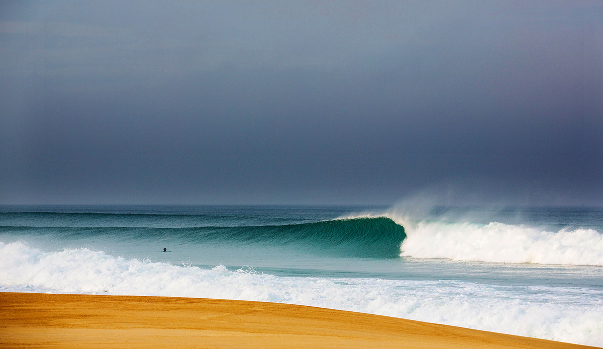 Scholtz has a dream job. As the Association of Surfing Professional’s lead photographer, she spends her life documenting some of the best waves on the planet.