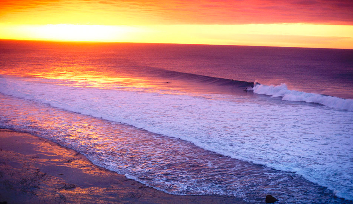 We love them both. Whether you're drinking Budweiser or Fosters (no one drinks Fosters), we salute your waves and everything that comes with them.