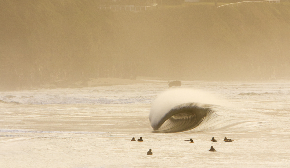 Hello, old friend. Photo: Ray Collins