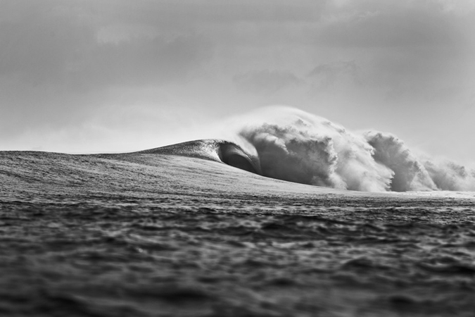 Wild Horses. Photo: Brent Bielmann