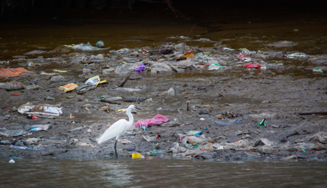 This isn't the way it is supposed to look. Photo: Shutterstock