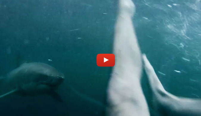 Yeah, it's not real (we don't think). But it's awesome. This guy deserves some sort of recognition – if not for jumping off a cliff and nearly onto a shark's back, then for his editing skills.