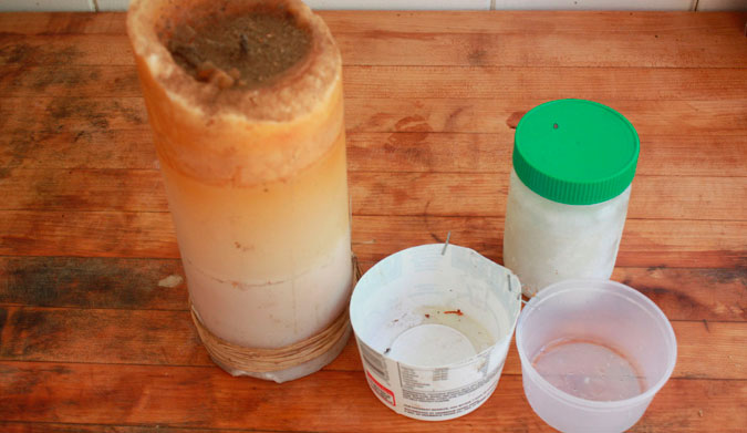 Step 3: Find an old candle and some coconut oil, which is not cheap.