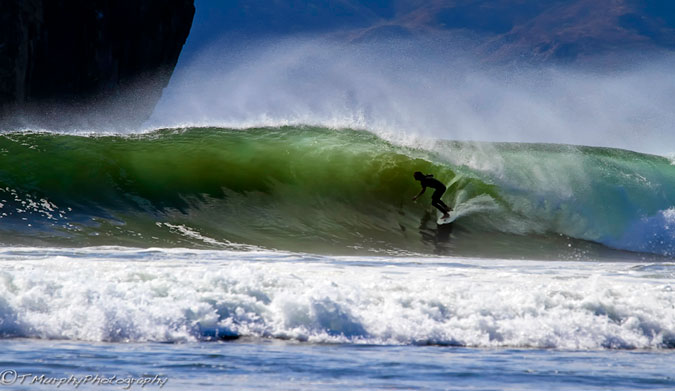 Photo: Trevor Murphy