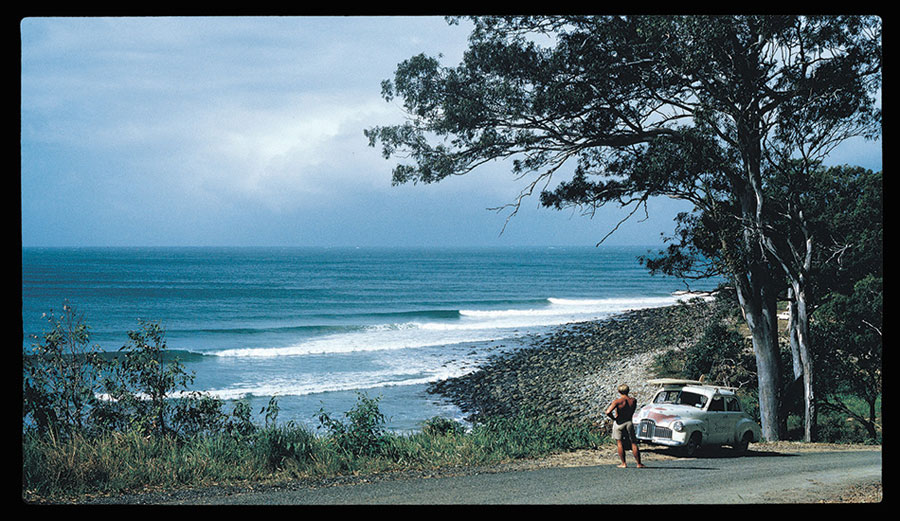 What would Bob do? Photo: John Witzig