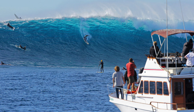 Safe, at last. Photo: Claudia Boily