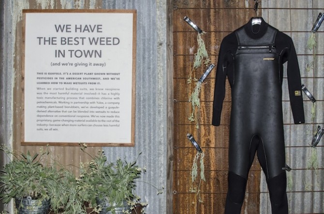 Not sure about being the best weed, but it's one of the better wetsuits — that's for damn sure. Photo: Dan LeMaitre
