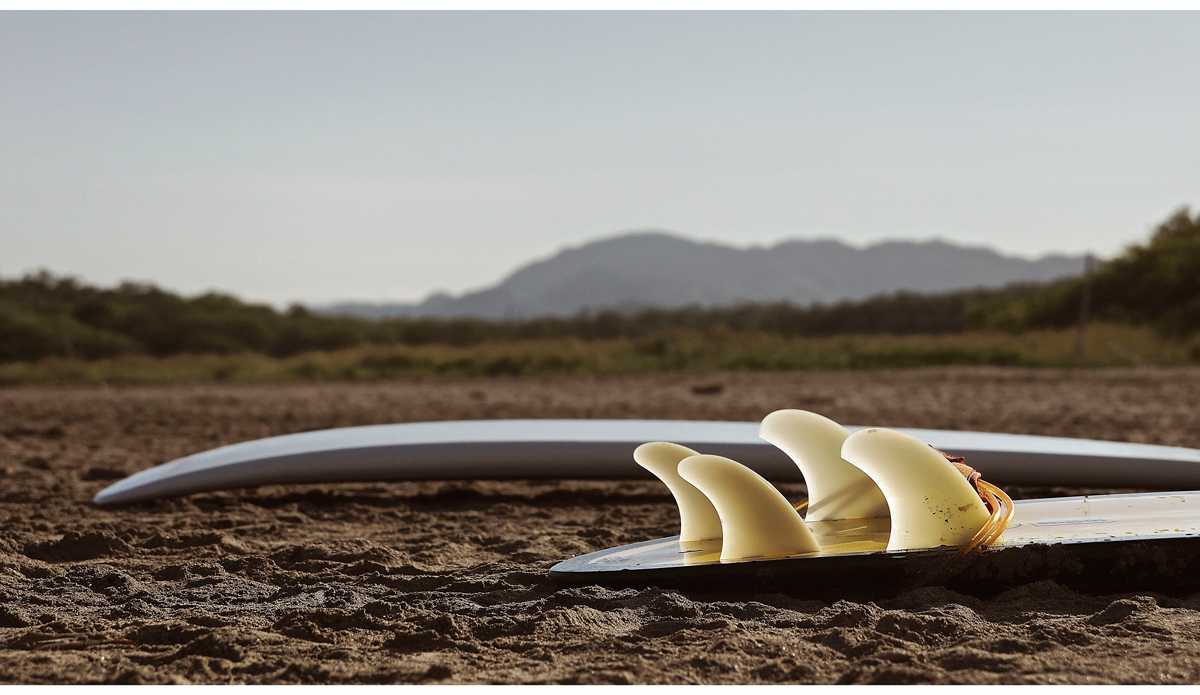 Photo: beachradish images