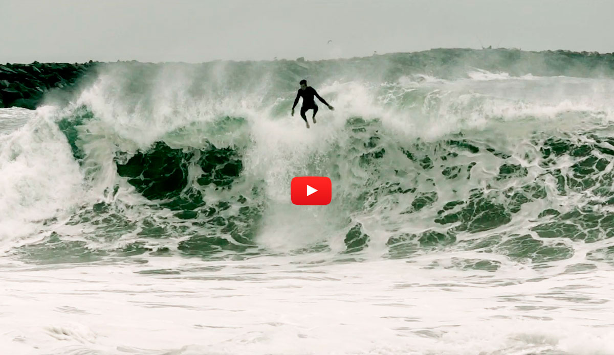 Get fat, Wedge video! Indulge in a gluttonous fervor of glory-basking!