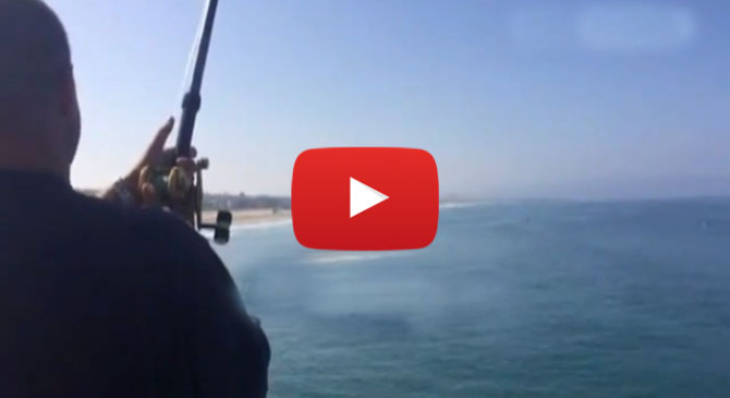 Shark Attack Manhattan Beach