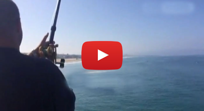 Shark Attack Manhattan Beach