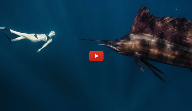 Roberta Mancino leads a pretty interesting life. The Italian model is an accomplished skydiver, base jumper and wingsuit flyer. She also pretty into free diving.