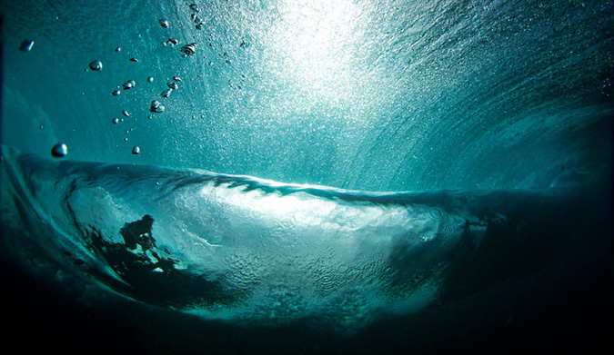 Sedated. Photo: Brent Bielmann