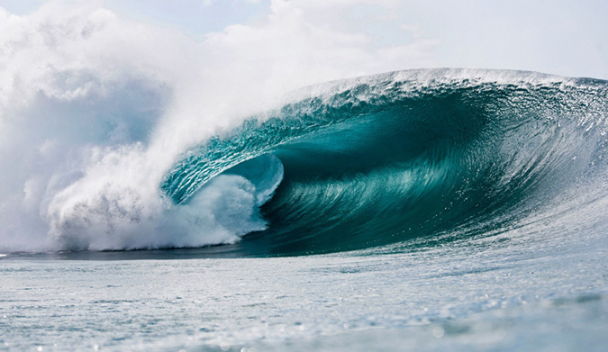 Break free. Photo: Brent Bielmann
