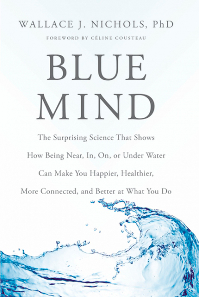 You already know you love water. Now understand why. Image: WallaceJNichols.org