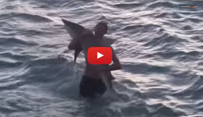 angler-