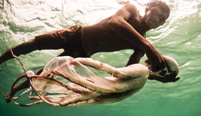 The Coral Triangle is often called the "Amazon of the Sea," because of the incredible amount of diversity beneath the surface.
