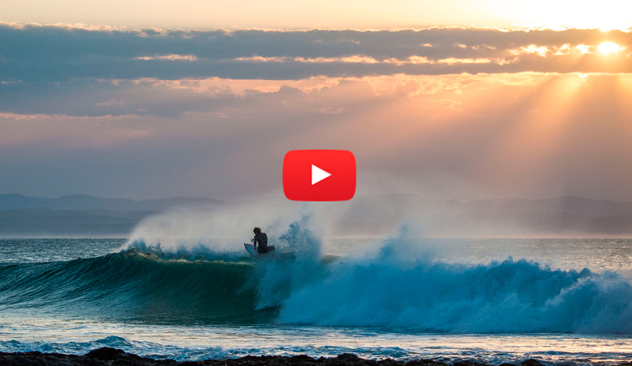 kolohe-andino-body
