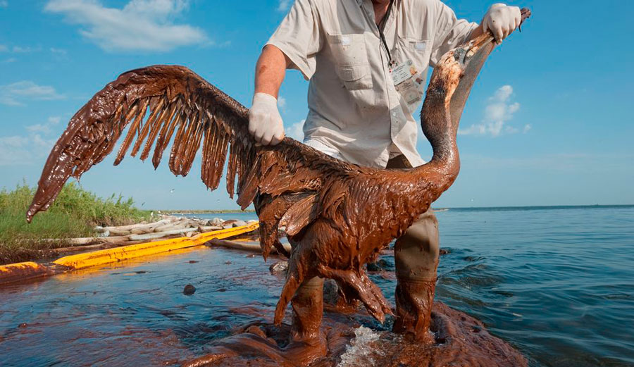 This wasn't even close to the ugliest of it all. Photo: National Geographic