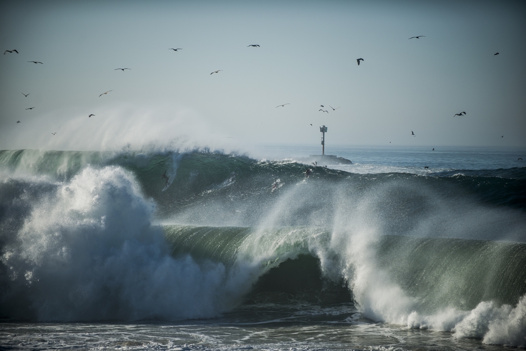 Even the birds flocked to the breaks. Photo: Ricky Lesser