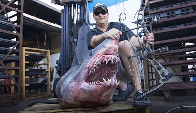 The shark Jeff shot was 809.5 pounds, and measured 11 feet long. It totally deserved to be shot in the back from a boat, mostly because it was so big. That shit's just not ok.