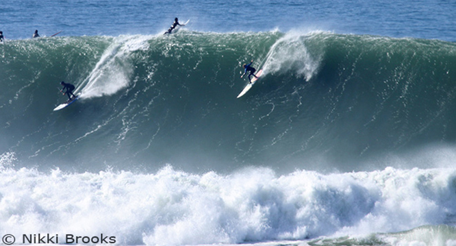 mavericks, savannah shaughnessy