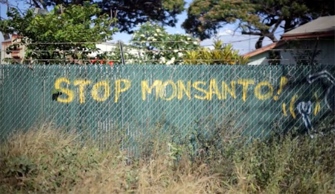 I've learned that food is perhaps the most important cause of today's environmental and social ills.