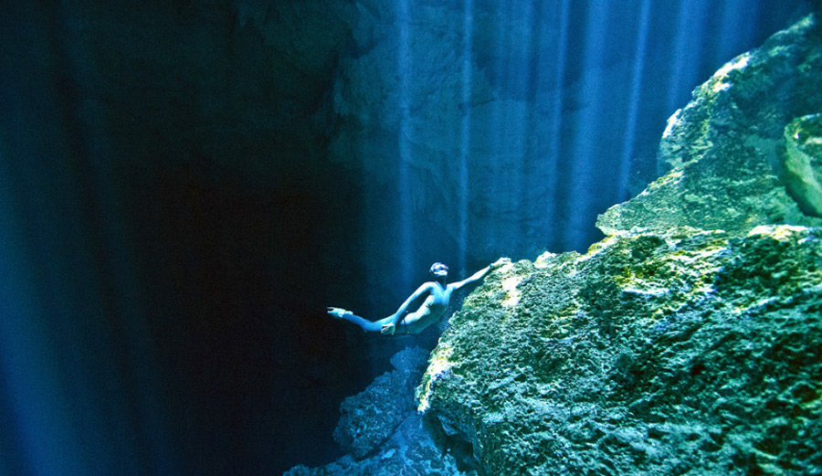 Ocean Diver