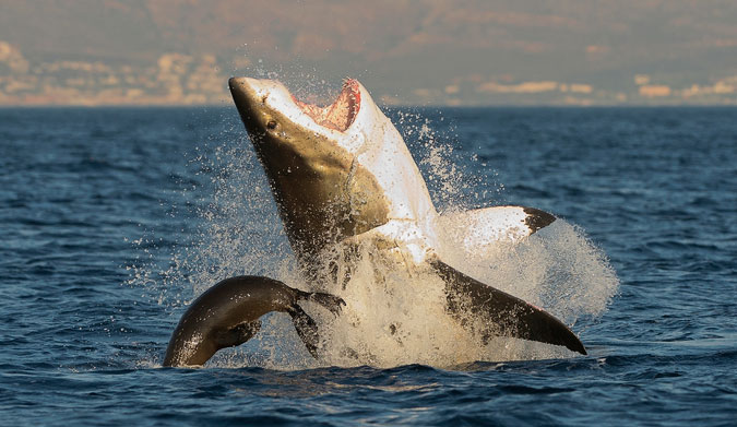 Fear not! Photo: Shutterstock