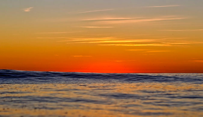 Forever Horizon.