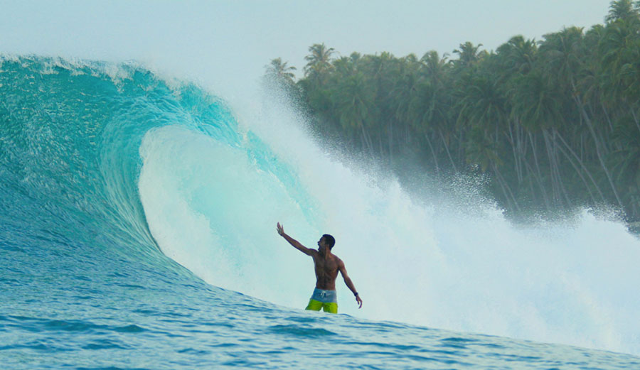 Crystal clear warm water, palm tree jungles, and perfect waves...