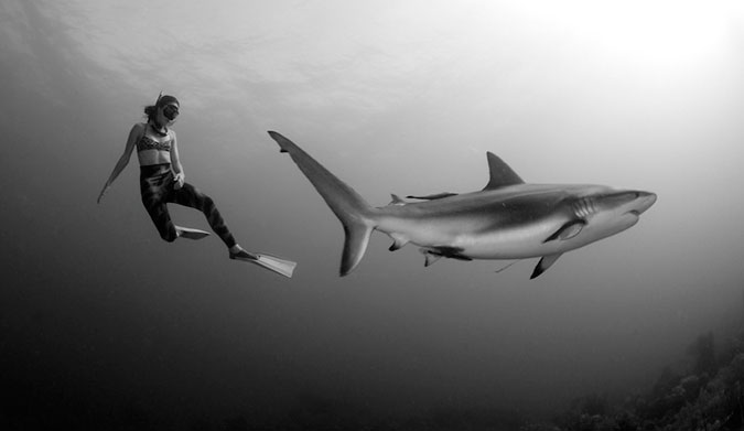 Doesn't this look better than being terrified?
